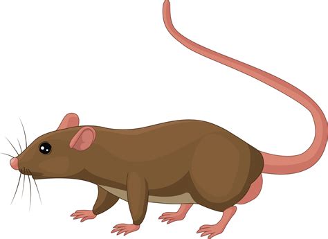 Cartoon rat on white background 5161788 Vector Art at Vecteezy