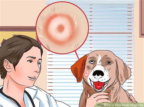 Natural Dog Ringworm Home Remedies You Should Have In Your Pet Check ...