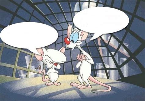 Pinky And The Brain Meme What Are We Doing Today