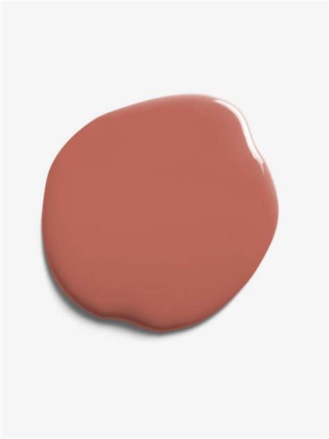 Coral Pink Paint – Habby4Africa