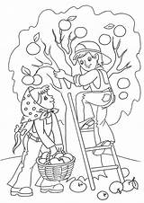 Free & Easy To Print Apple Coloring Pages  Tulamama sketch template