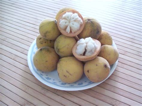 Does anyone know where to buy a fruit called buah sentul? : r/askSingapore