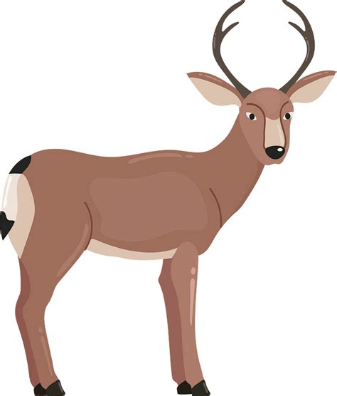 Mule deer clipart. Free download transparent .PNG | Creazilla