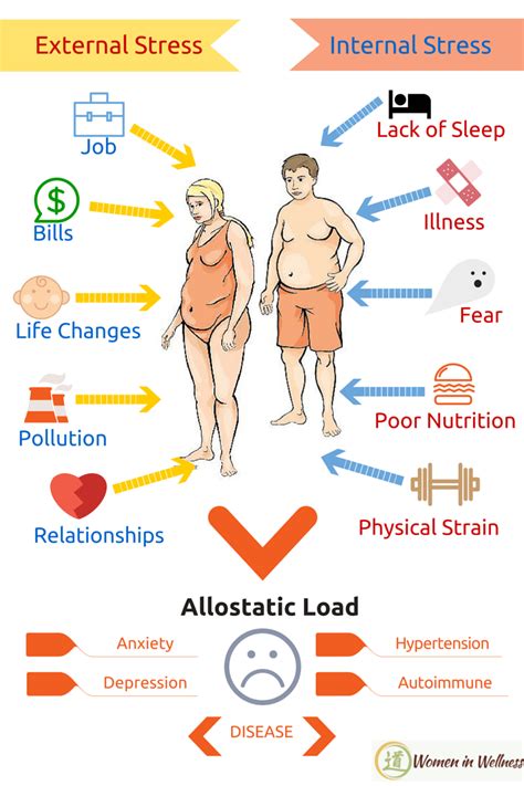 Knowing Your Allostatic Load Can Help Prevent Disease