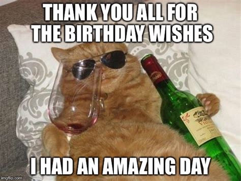 Funny Cat Birthday - Imgflip