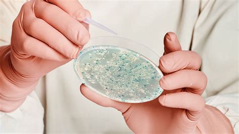 E Coli Treatment