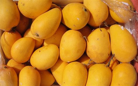 Exporter of Fresh Pakistani Mango - Sohail Haroon Corporation