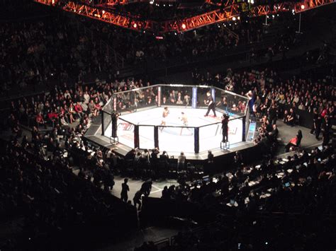 UFC Cage Wallpapers - Top Free UFC Cage Backgrounds - WallpaperAccess