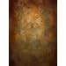 7x10 ft Photography Studio Portrait Background Orange Brown Color Portrait Abstract Photo Booth ...