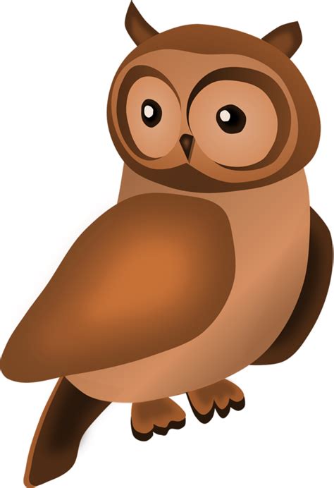 Thanksgiving Owl Cartoon Bird of prey for Thanksgiving Owl for Thanksgiving - 877x1280