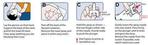 Instructions and Video | NYXOID® Nasal Spray