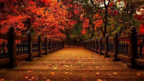 Autumn Laptop Wallpapers - Top Free Autumn Laptop Backgrounds ...