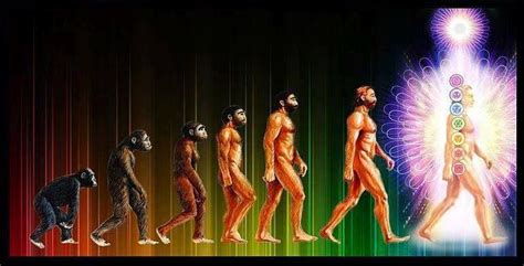 Spiritual Evolution of the Body | Evolution, Spirit science, Human