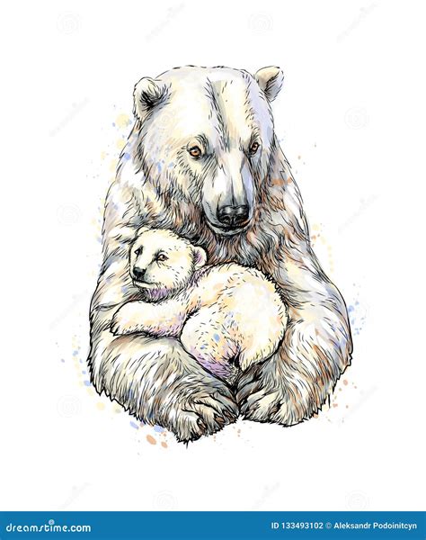 Polar Bear with Cub from a Splash of Watercolor, Hand Drawn Sketch ...