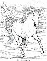 Free Printable Realistic Animal Coloring Pages At GetColoringscom  sketch template