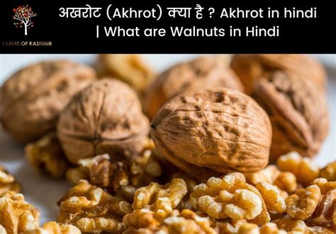 अखरोट (Akhrot) खाने के फायदे | लाभ (Amazing Health Benefits), कब और ...