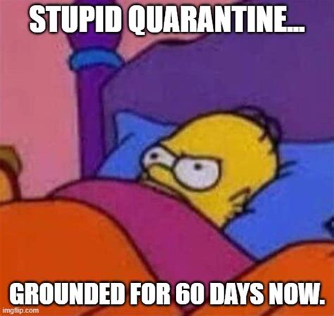 Covid19 Quarantine.... - Imgflip