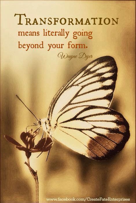 Butterfly Transformation Quotes - ShortQuotes.cc