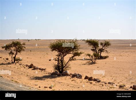 Western Sahara landscape Stock Photo - Alamy