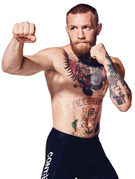 Conor McGregor PNG transparent image download, size: 775x1031px