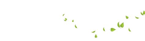 Falling green leaves png » PNG Image