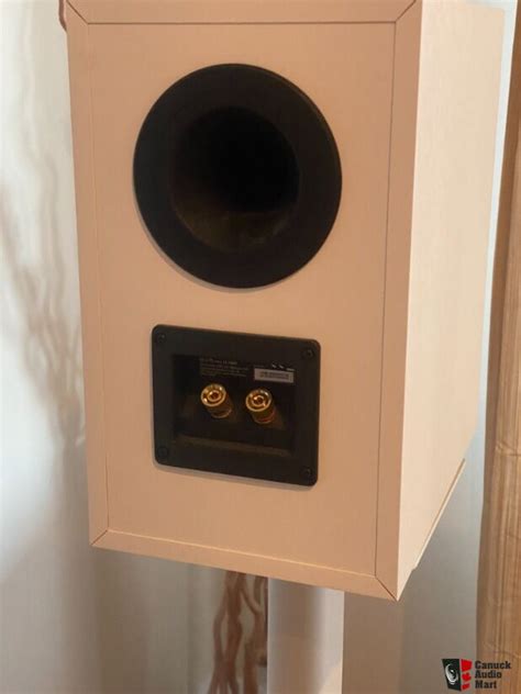 Kef Q150 White Photo #4655052 - US Audio Mart