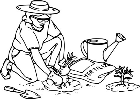 SVG > plants bucket cultivation gardener - Free SVG Image & Icon. | SVG Silh