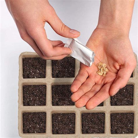 20 Pack Seed Starter Tray, Biodegradable Peat Pots Seedling Germination ...