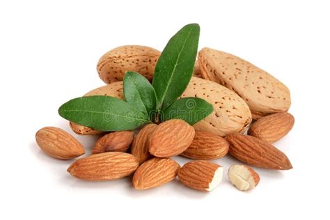 Group of Almond Nuts with Leaves Isolated on White Background Stock Photo - Image of group ...