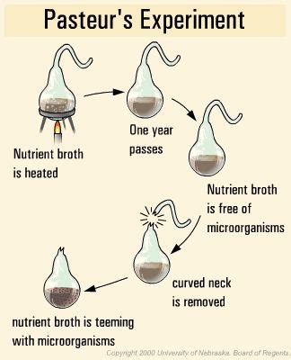 This imagine shows French Physician Louis Pasteur's experiment in which ...