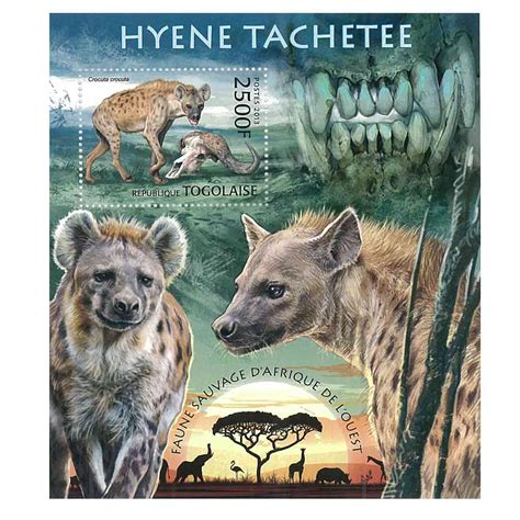 Togo Stamp, 2013 Spotted Hyena, Wildlife, Animals S/S – International ...