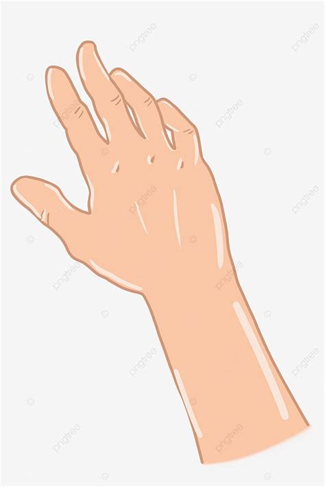 Hands Reaching Out White Transparent, Cartoon Hand Reaching Out The Palm, Reach Out, Gesture ...