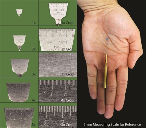 5mm Scale, 027 (calibrated to 0.1mm, 5mm range) – Macroscopic Solutions | INSPIRING DISCOVERY