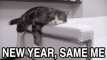 New Year Same Me GIF - NewYearSameMe - Discover & Share GIFs