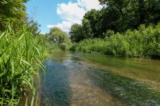 Nature Reserves | Herts and Middlesex Wildlife Trust