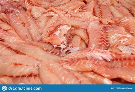 Seabass Raw, Hamour, Grouper Fish, Sea Bass Fillet Sliced and Piled in Bulk in Fish Market Stock ...