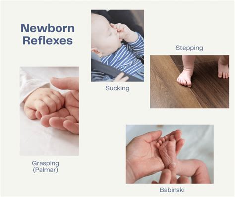 6 Fascinating Newborn Reflexes that May Surprise You