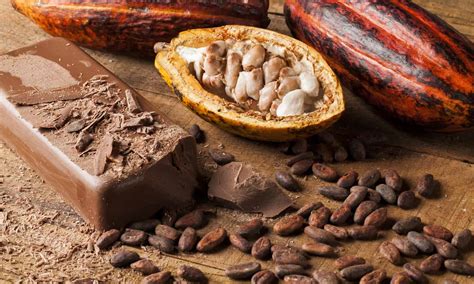 Food Thank: Better Food For All: Chocothon Seeks to Save Cocoa Production in Ghana