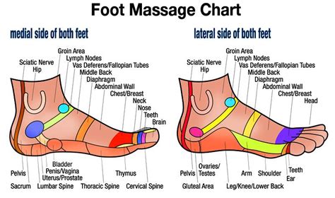 High Resolution Free Downloadable Foot Massage Side Chart for Relaxation and Self Healing Free ...