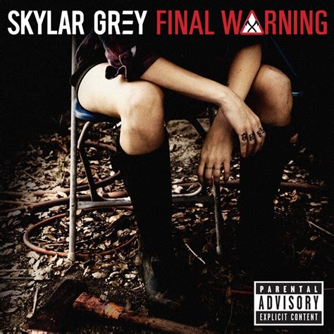 Skylar Grey – Final Warning Lyrics | Genius Lyrics