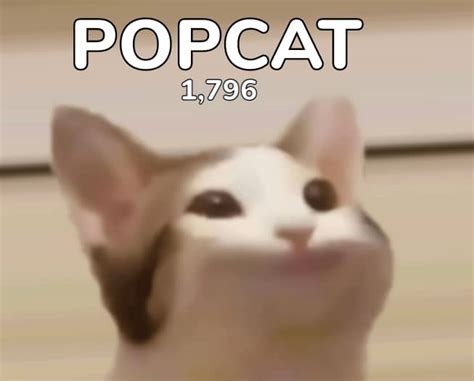 วิธีใช้ popcat วิธีเล่น popcat เทคนิคเล่น popcat - iT24Hrs