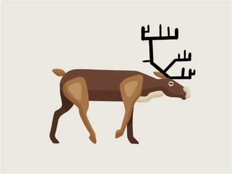 Caribou Animation Progress by Jordi Ayguasenosa Jara on Dribbble