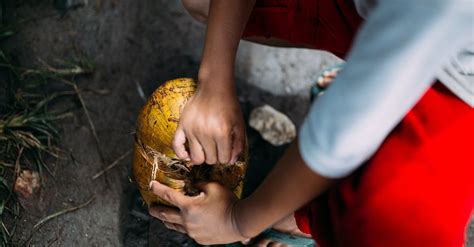 Person Peeling a Coconut · Free Stock Photo
