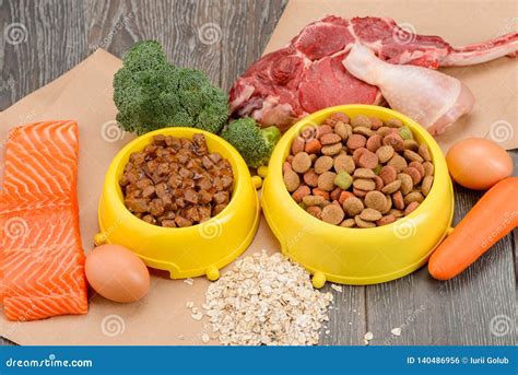 Assorted Pet Food and Ingredients Stock Photo - Image of digestion, food: 140486956