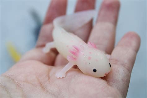 Mini Axolotl Baby Axolotl Squishy Stress Toy Albino - Etsy Canada