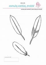 Coloriage Plumes Pauline Feathers Mandala Coloriages Plume Inclassables  sketch template