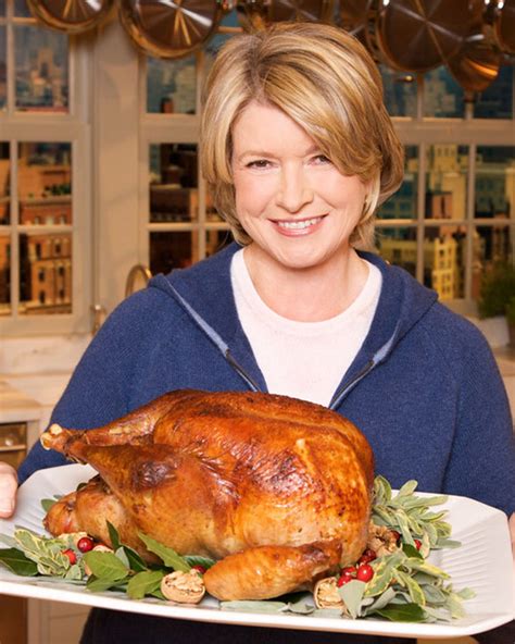 TurboChef Roast Turkey | Recipe | Roast turkey recipes, Roasted turkey ...