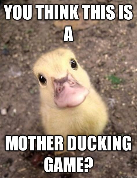 You think this is a Mother ducking game? - Misc - quickmeme