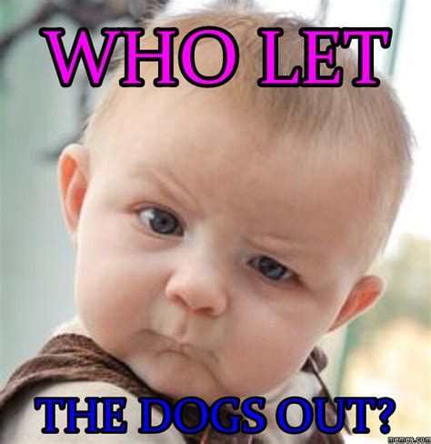 Who let THE DOGS OUT? | memes.com