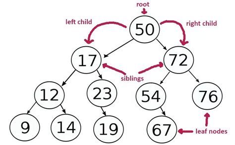 C# program to implement Binary Search Tree – Csharp Star